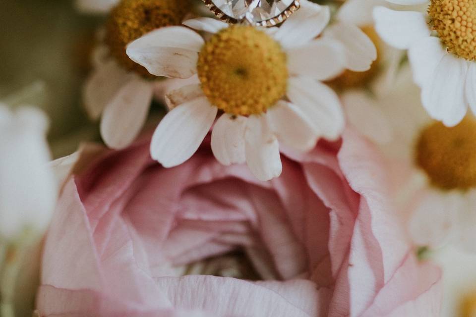 Asheville Cabin Wedding