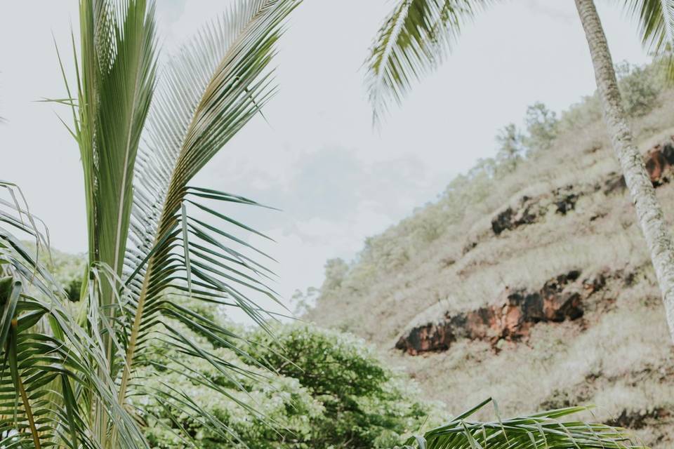 Oahu Wedding