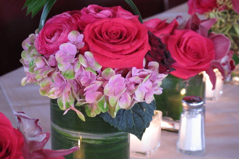 Pink roses