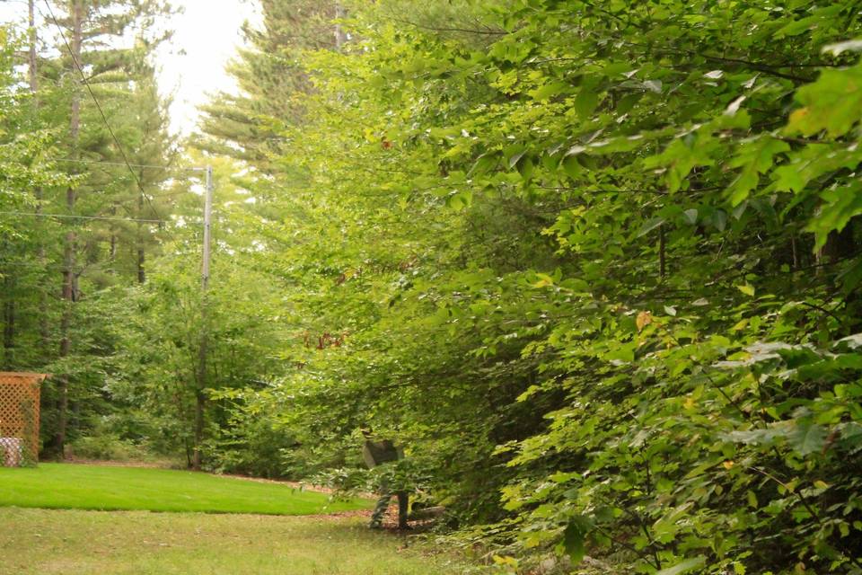 Camp Birch Hill