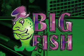 Big Fish DJ Entertainment Services