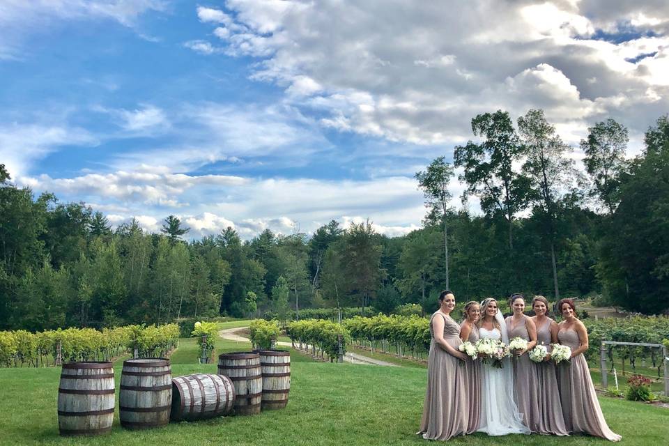 A bridal party under blue skies