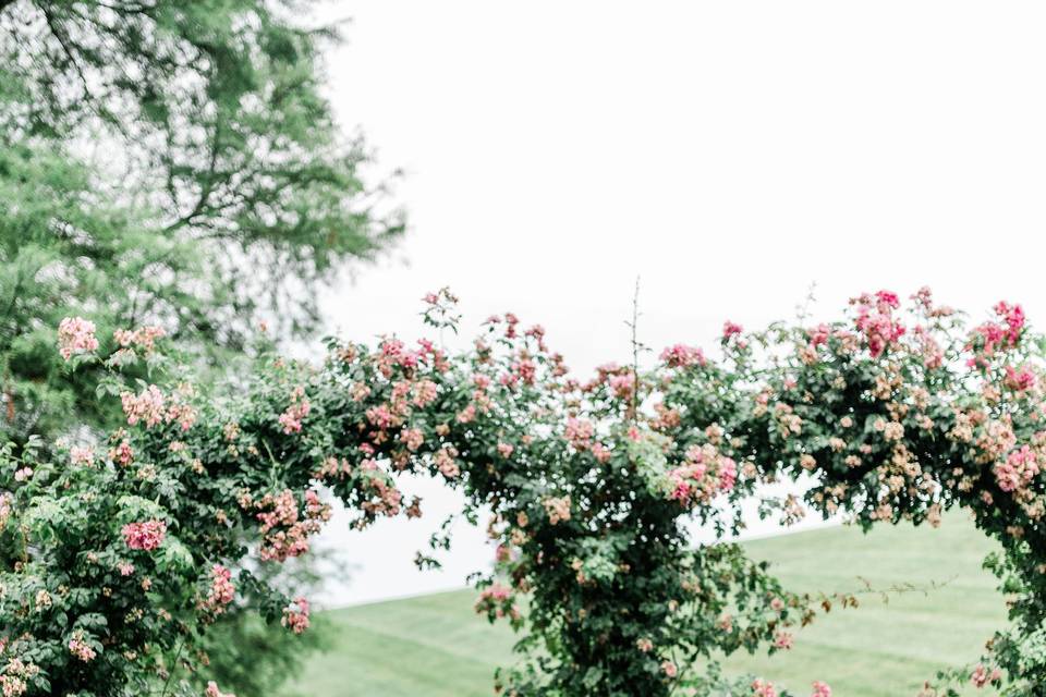 Longwood Gardens Engagement