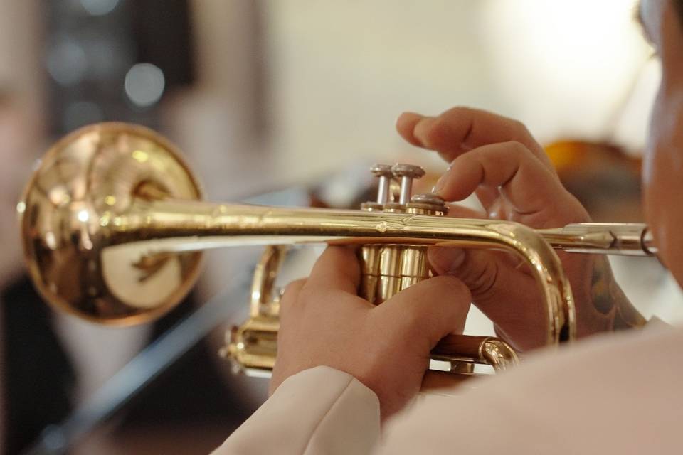 Trumpet during reception