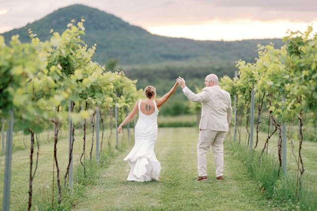 Vineyard