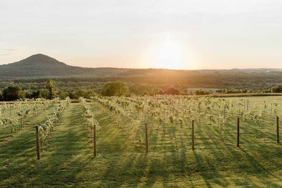 Maquam Barn & Winery