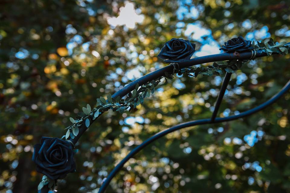 Black roses
