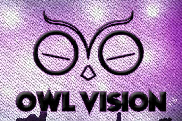 Owl Vision LLC