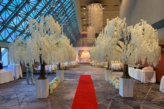 Hilton Bellevue