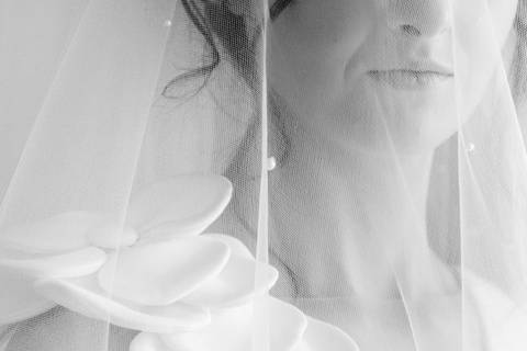 Albany Wedding photographer