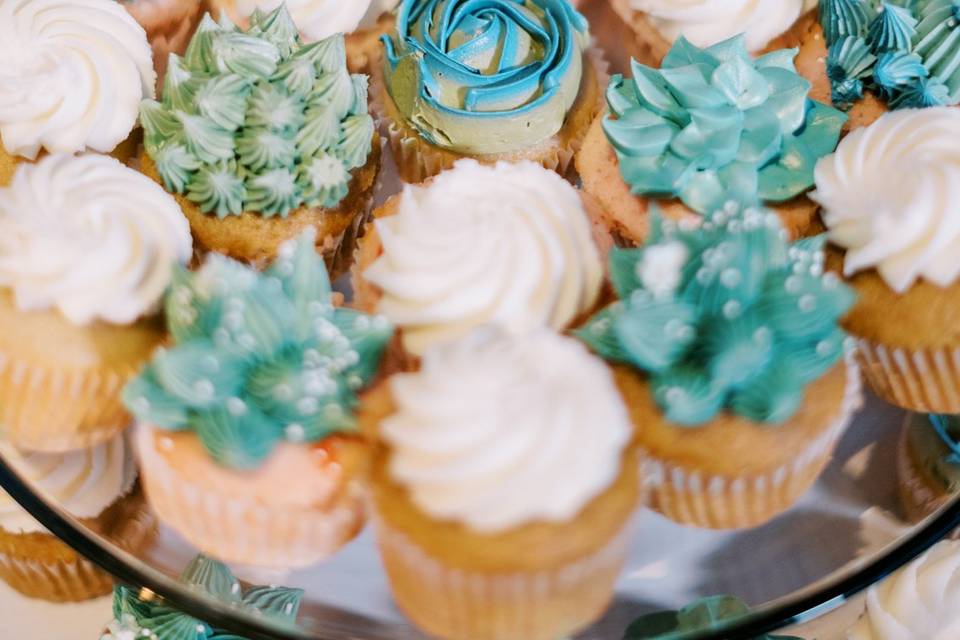 Cactus cupcakes by Ambrosia