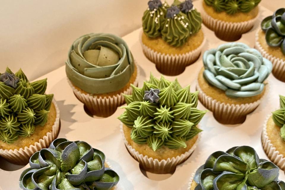 Cactus cupcakes by Ambrosia