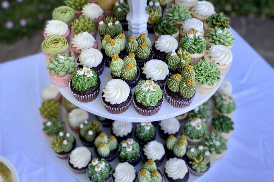 Cactus cupcakes by Ambrosia