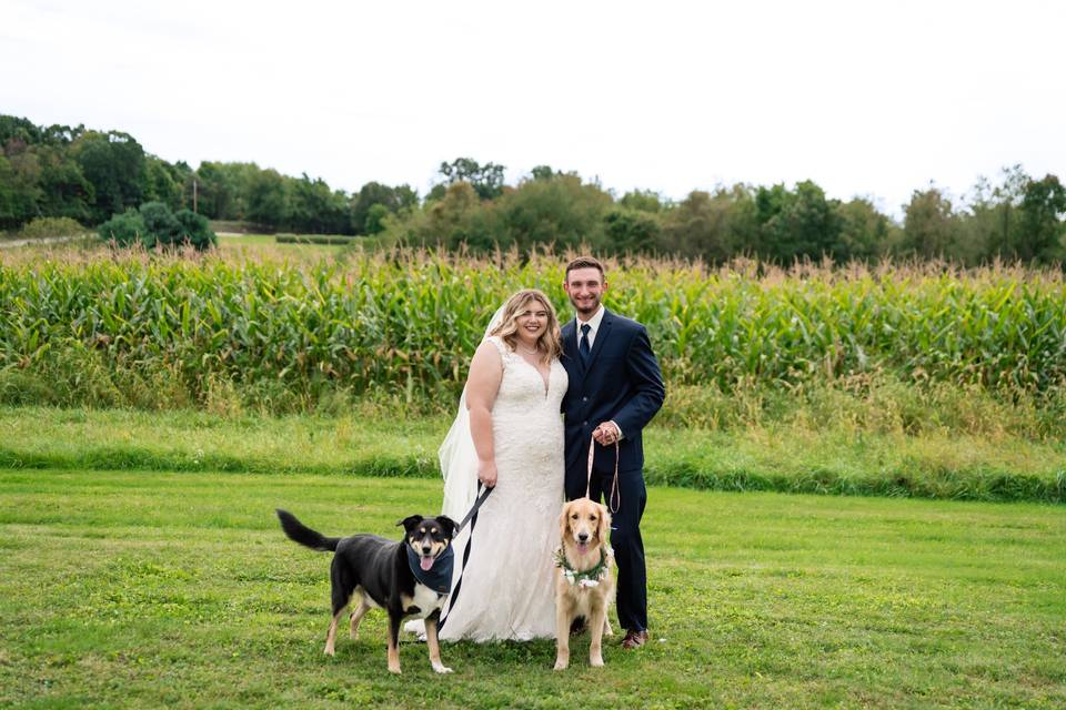 Couple and their dogs
