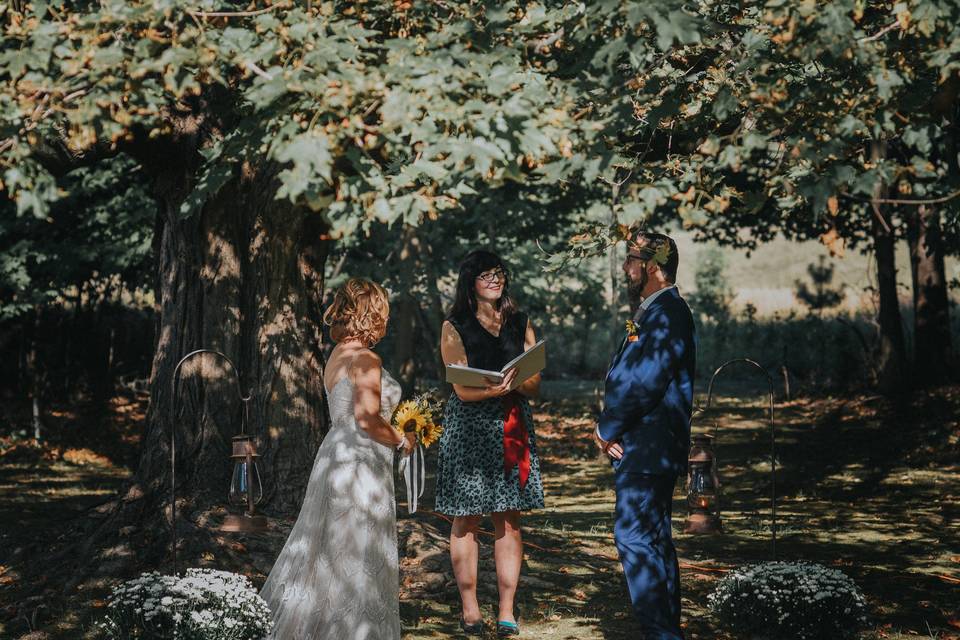 A summer wedding under a maple treePhoto by Sunny Days Photography (2017)