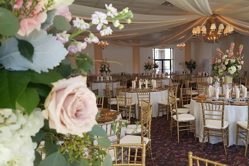 Dining area set-up