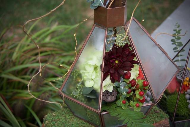 Vows and Vines