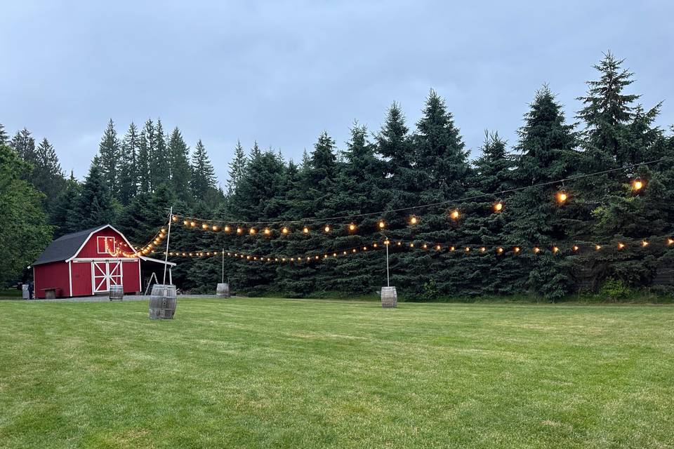 String lights to barn