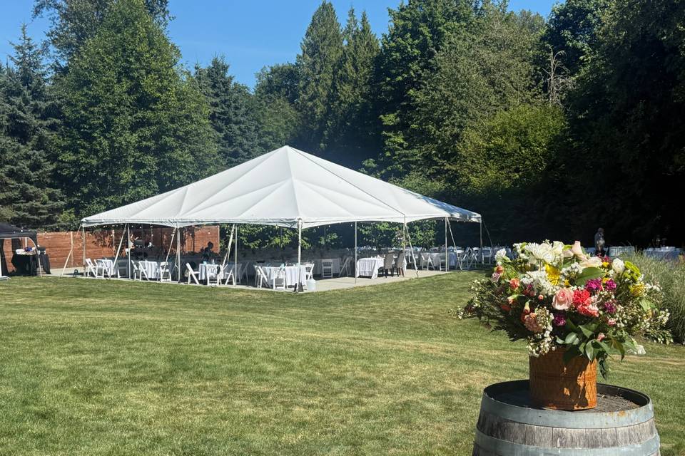 40x40 event tent