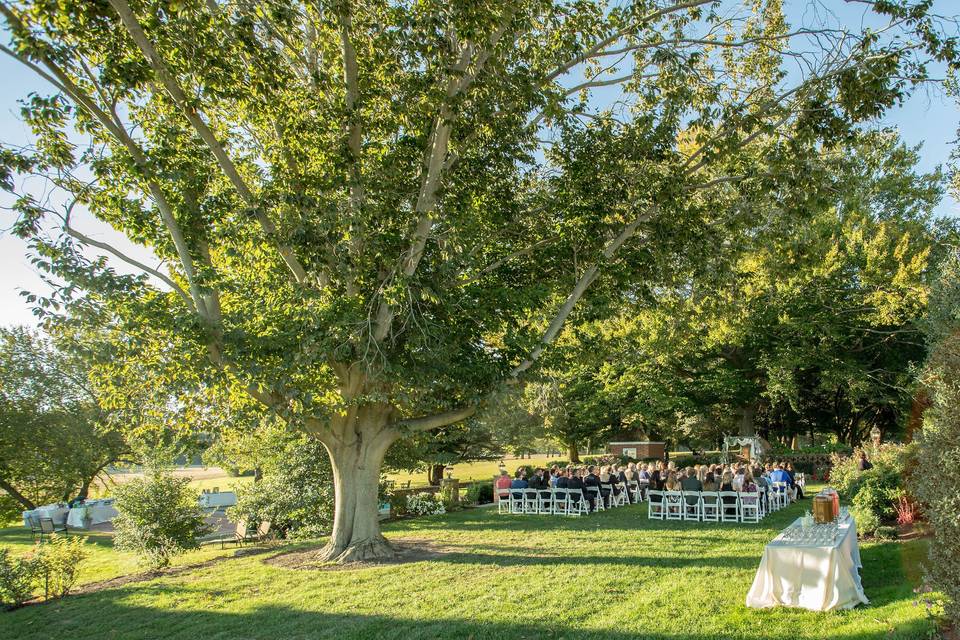 Wedding Ceremony