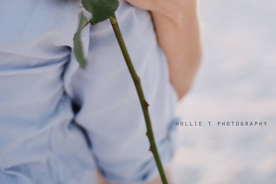 Hollie T Photography