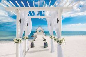 Wedding set-up