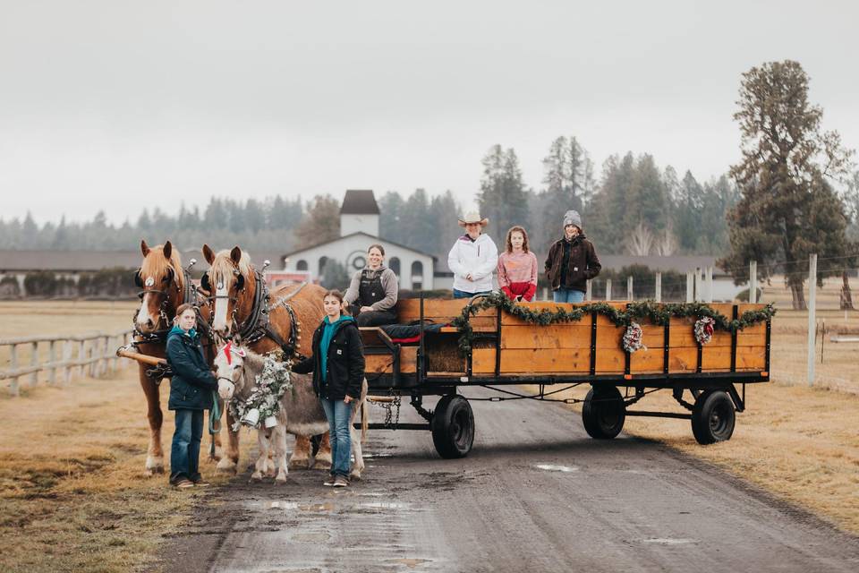 Christmas rides