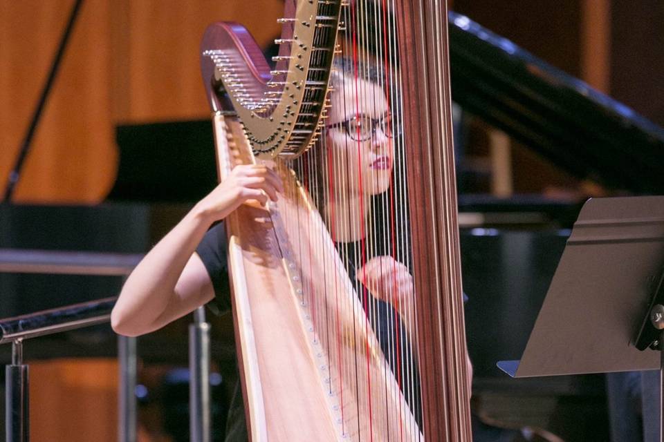Molly performing the harp at a live concert