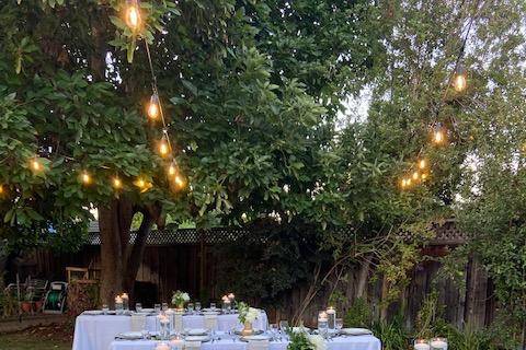 Garden wedding ceremony