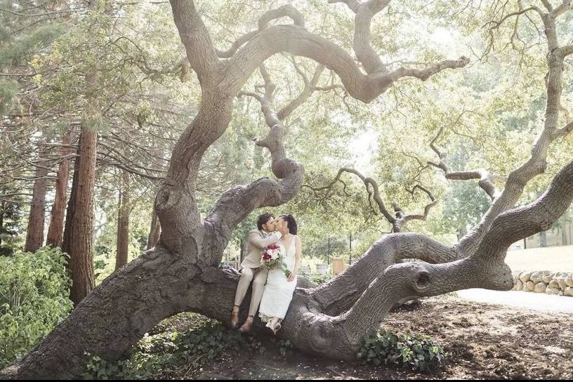 Couple tree pose