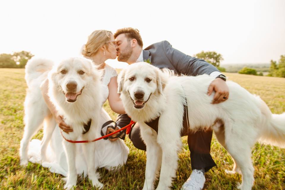 Couple and pets