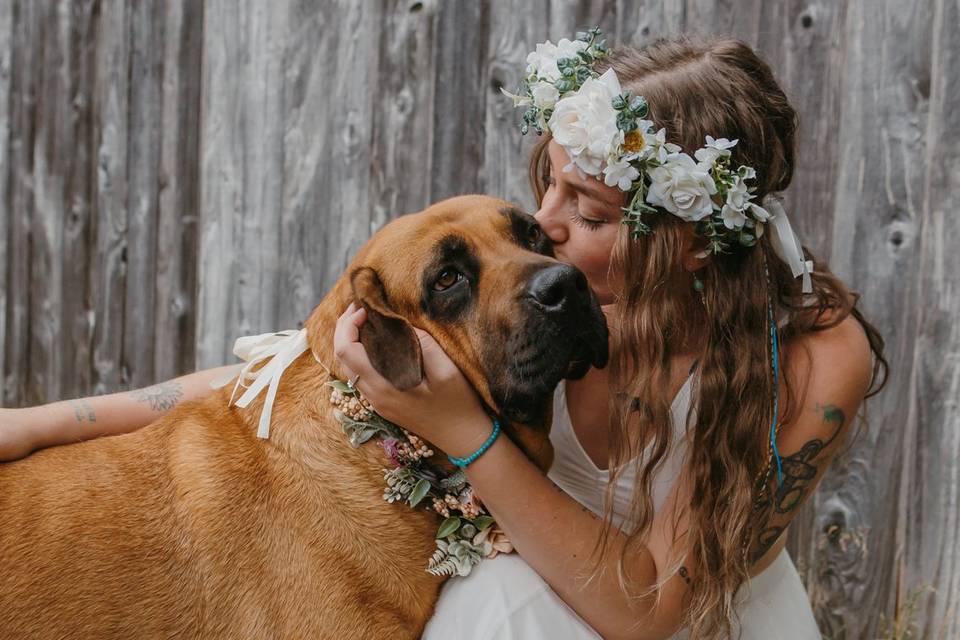 Bride and her Dog