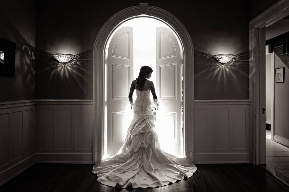 Silhouette Bridal Portrait