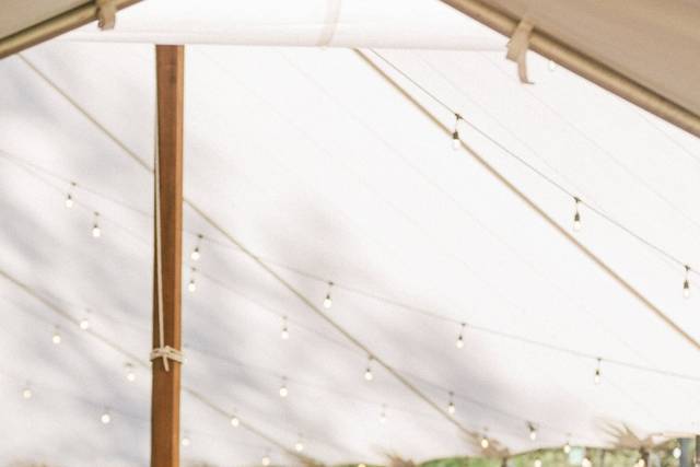Jill Meriwether Photography