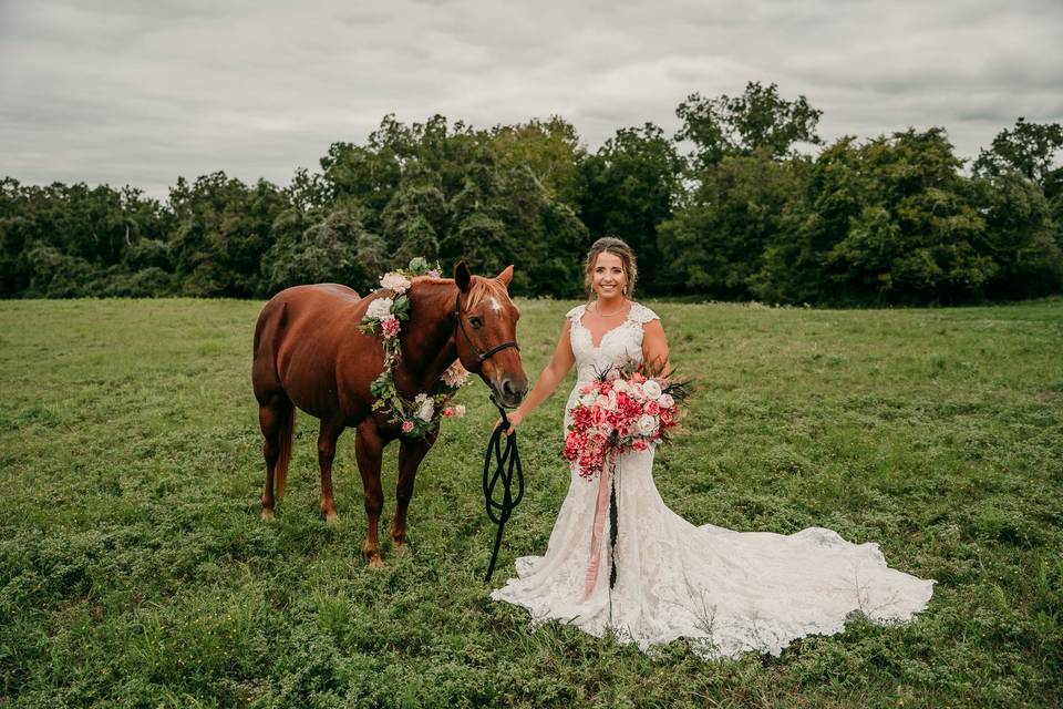 Bridals with horses