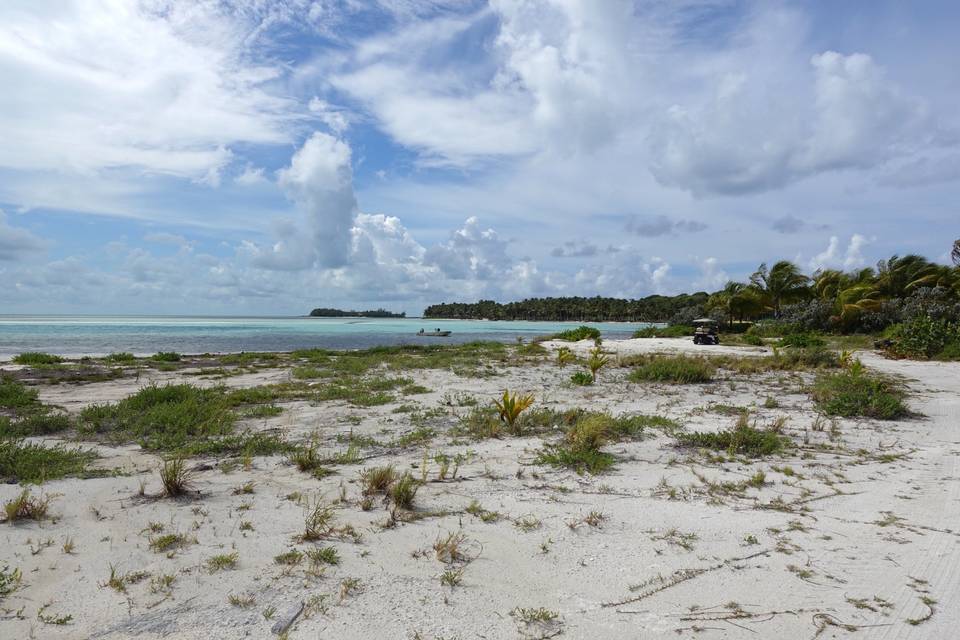 The Islands of the Bahamas