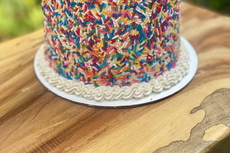 Tall sprinkle pinata rainbow cake