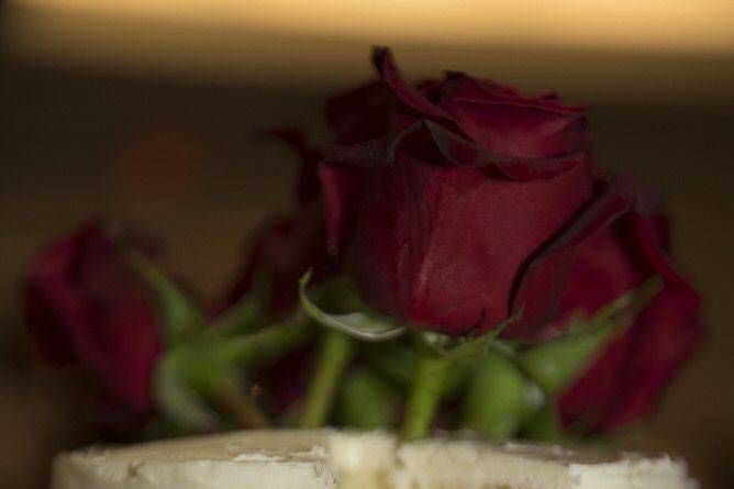 Stephanie Long Photography