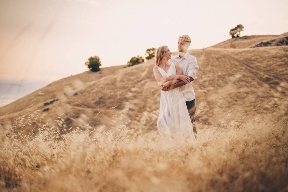 Mount Tamalpais