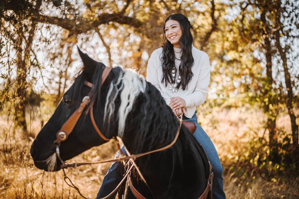 Gibson Ranch engagement