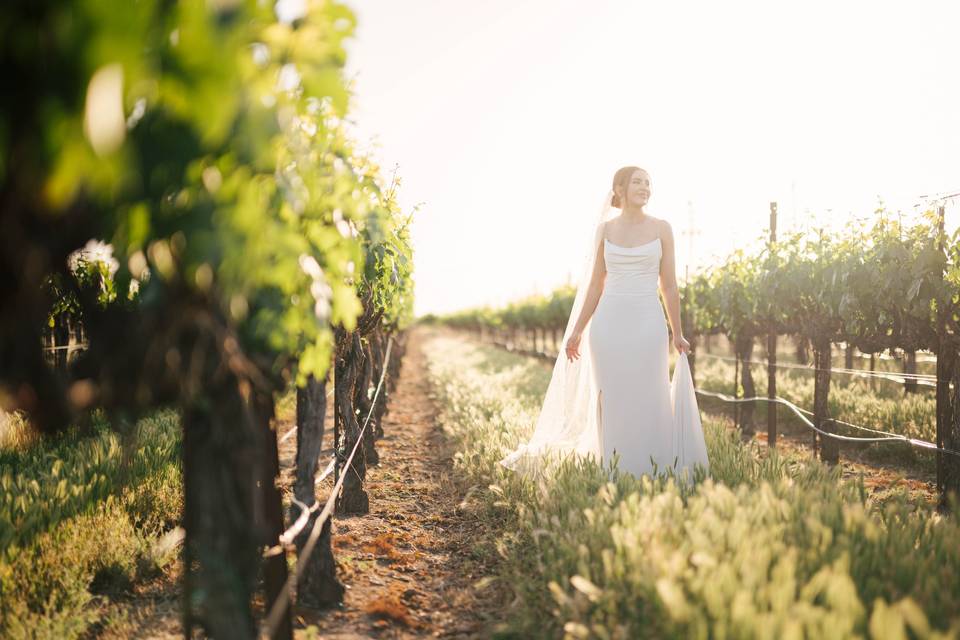 Vineyard Wedding