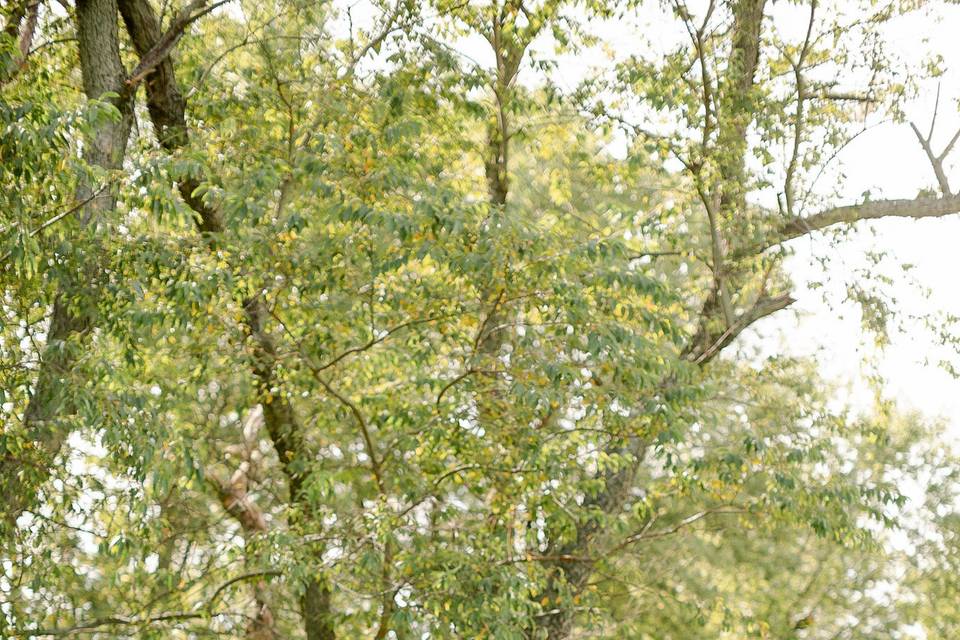 Philly wedding photographer