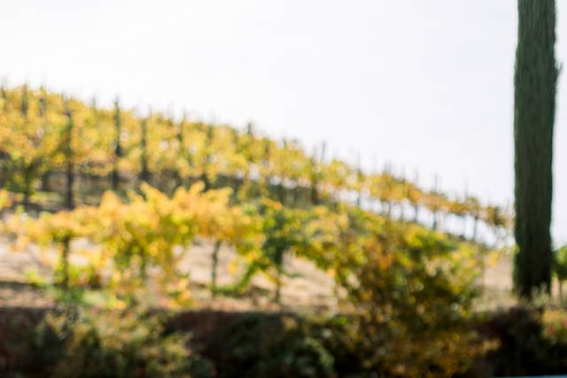 Photo by: SLO Town Studios