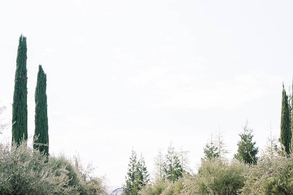 Photo by: Chelsey Barhost