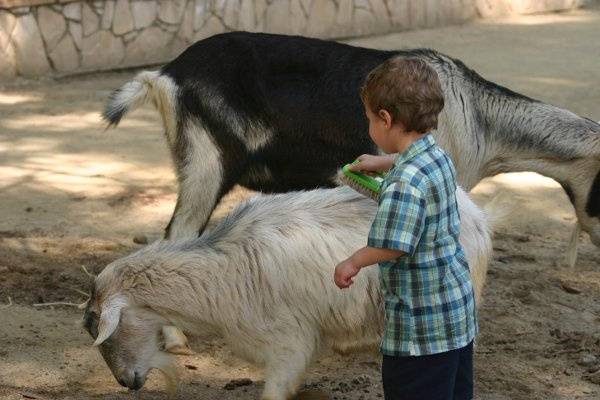 Fresno Chaffee Zoo