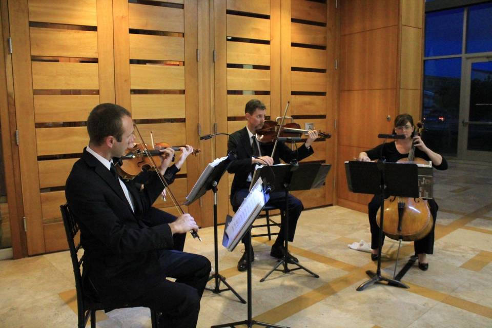 Giovanni String Quartet