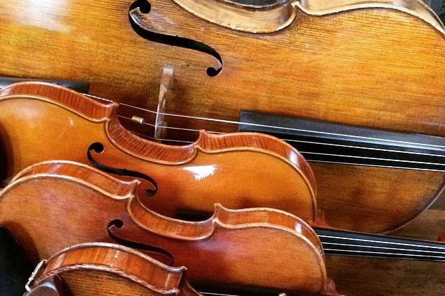 Violins, viola, and cello