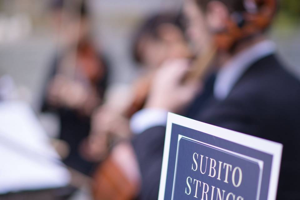 Shade Hotel String Quartet