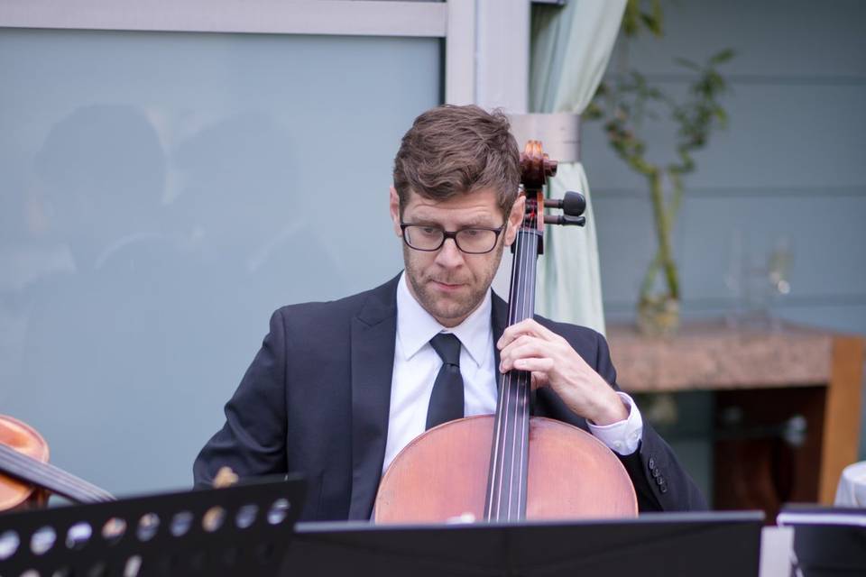 Shade Hotel String Quartet