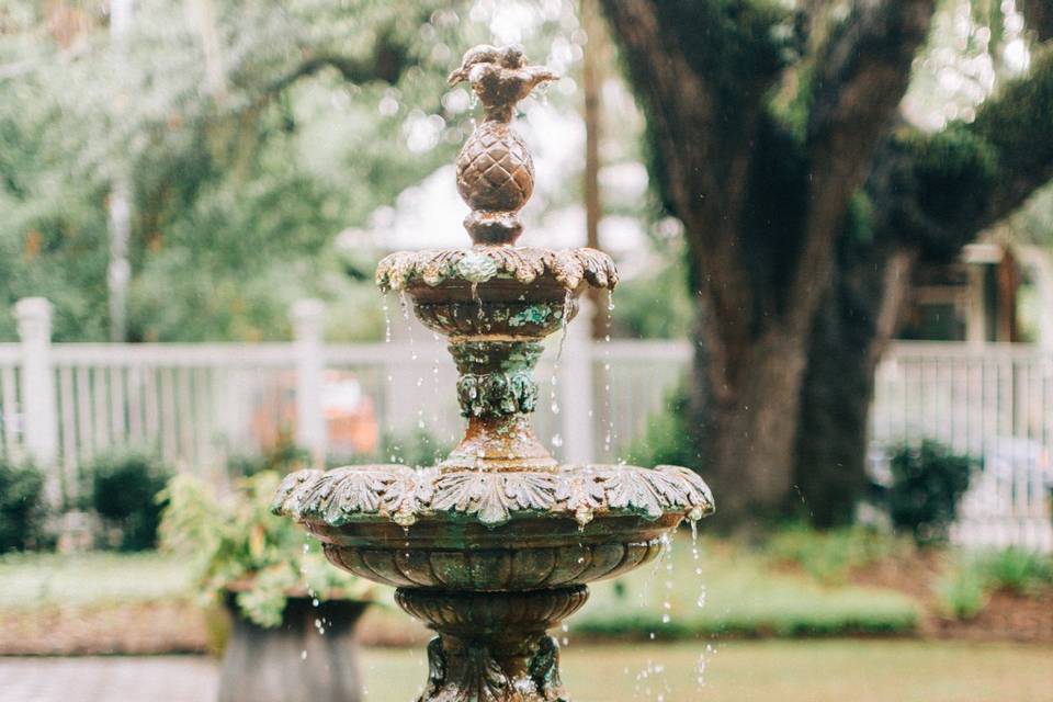 Pinapple Fountain
